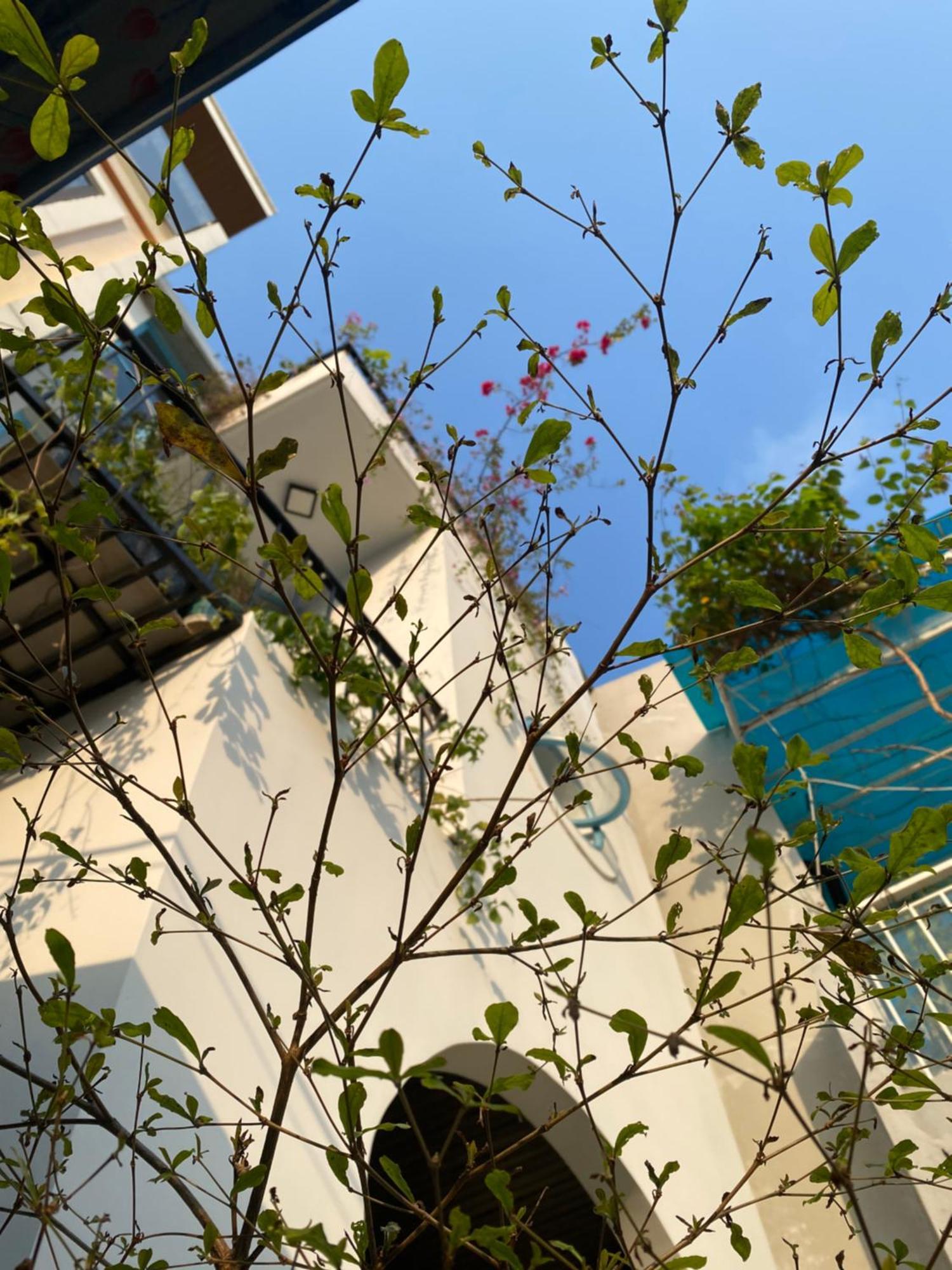 Ferienwohnung Tiny Cozy House Đà Nẵng Exterior foto